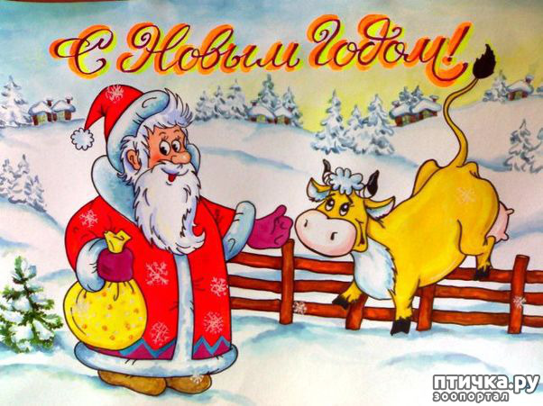 ���� 12: � ����� �����! � ����� ��������!