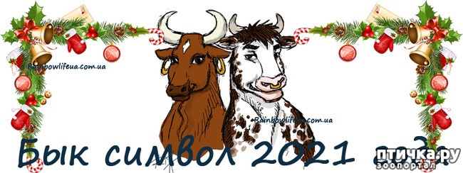 ���� 13: � ����� �����! � ����� ��������!