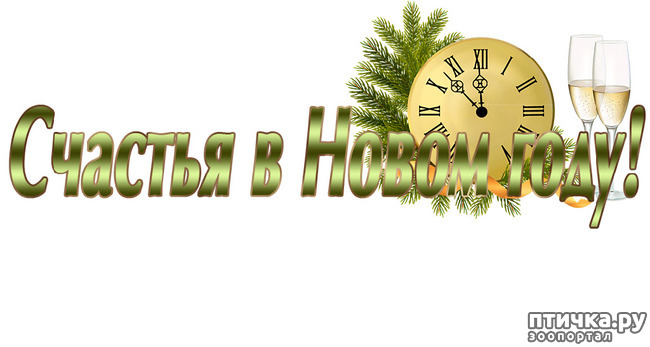 ���� 3: � ����� �����! � ����� ��������!