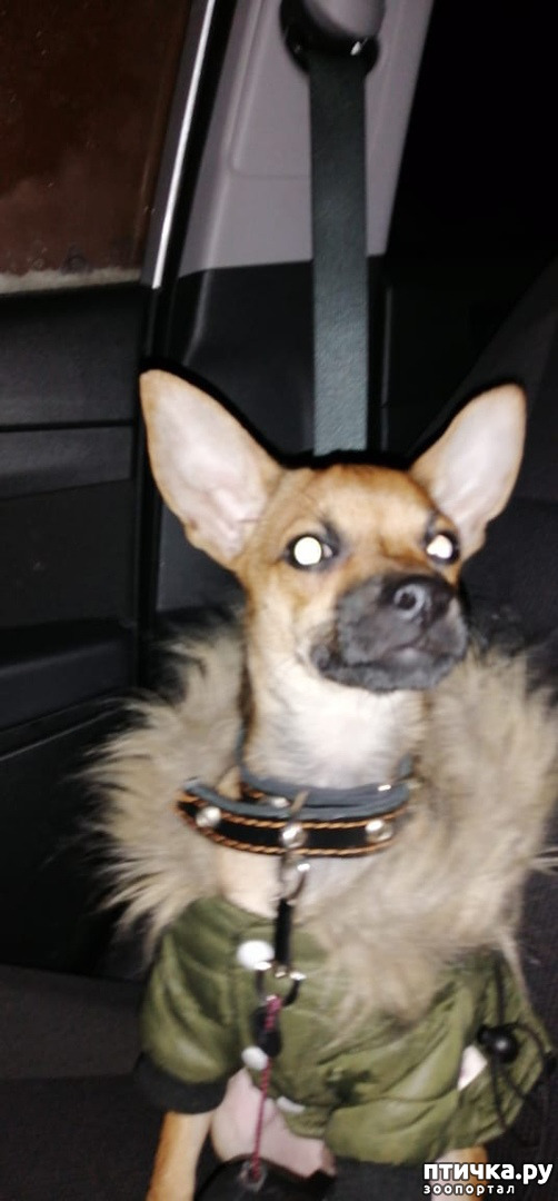 ���� 4: ��������� �� ��������