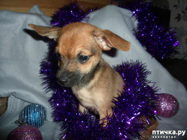 ���� 2: ��������� �� ��������