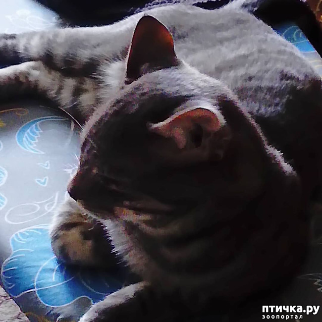 ���� 1: ����� �������