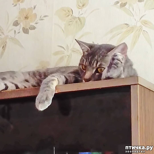 ���� 2: ����� �������