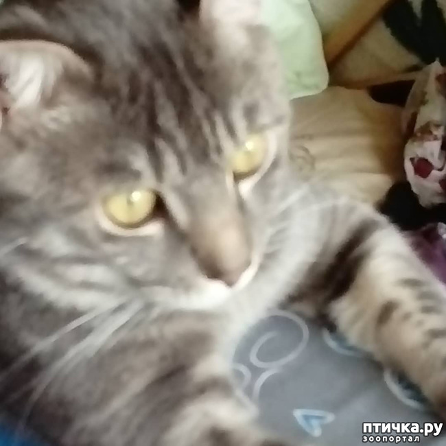 ���� 4: ����� �������