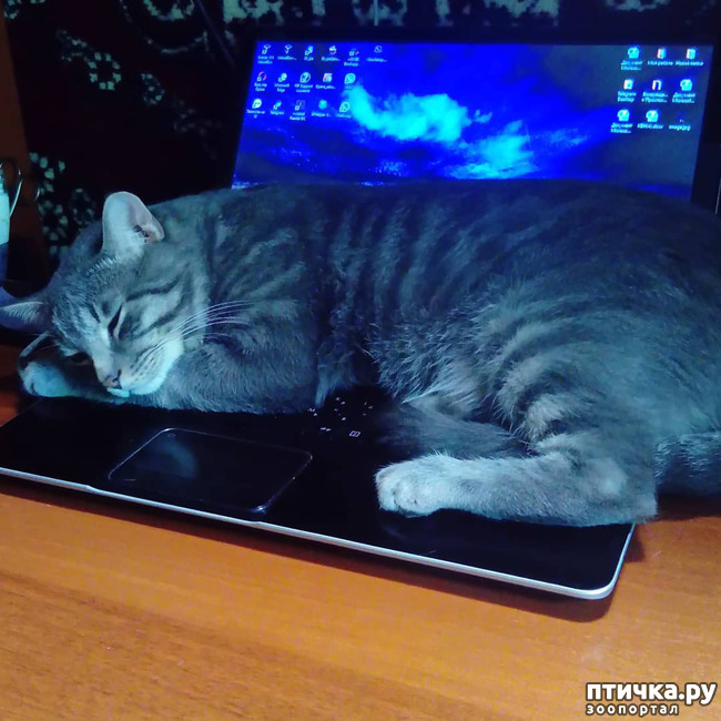 ���� 5: ����� �������