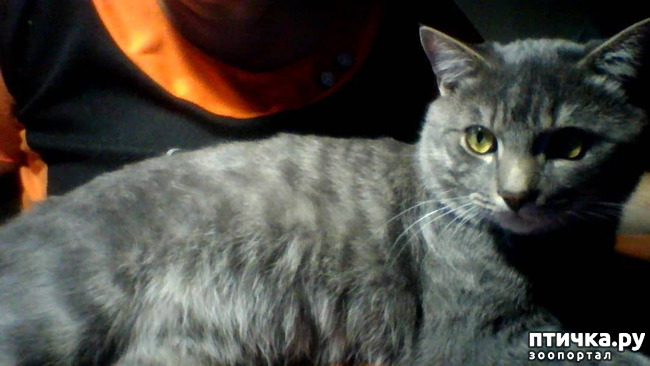 ���� 6: ����� �������