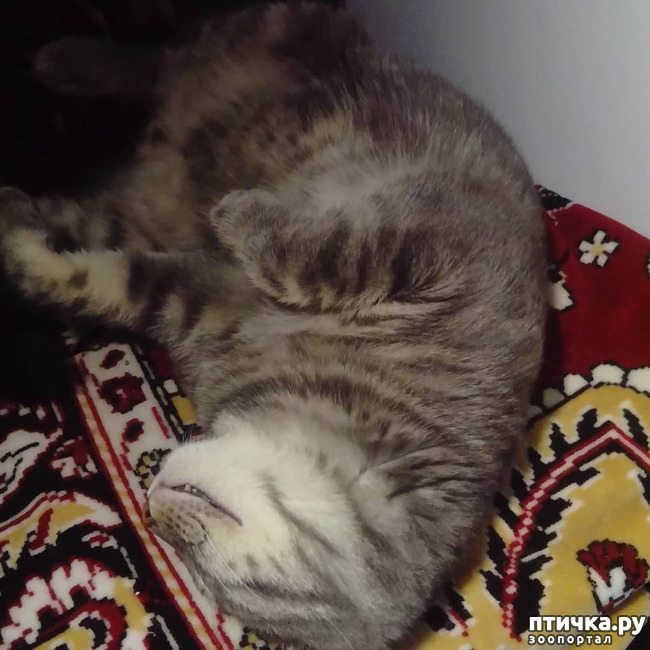 ���� 7: ����� �������