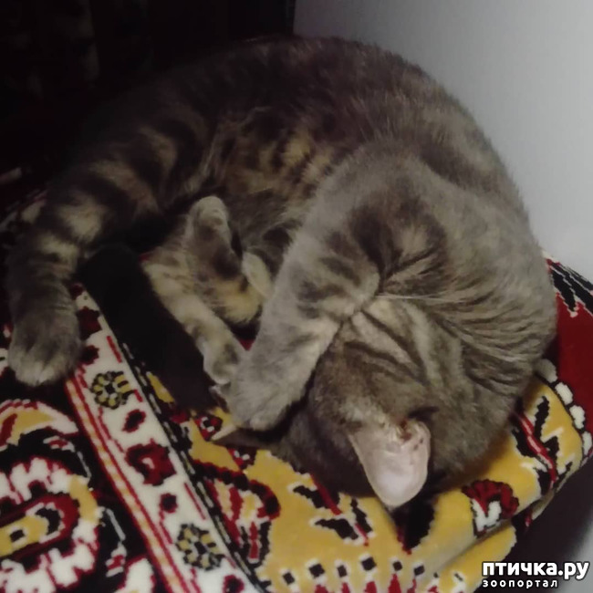 ���� 8: ����� �������