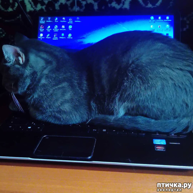 ���� 9: ����� �������