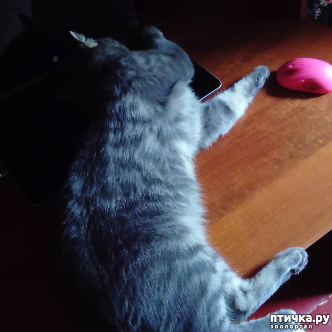 ���� 10: ����� �������