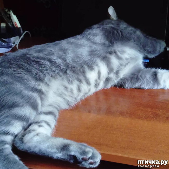 ���� 11: ����� �������