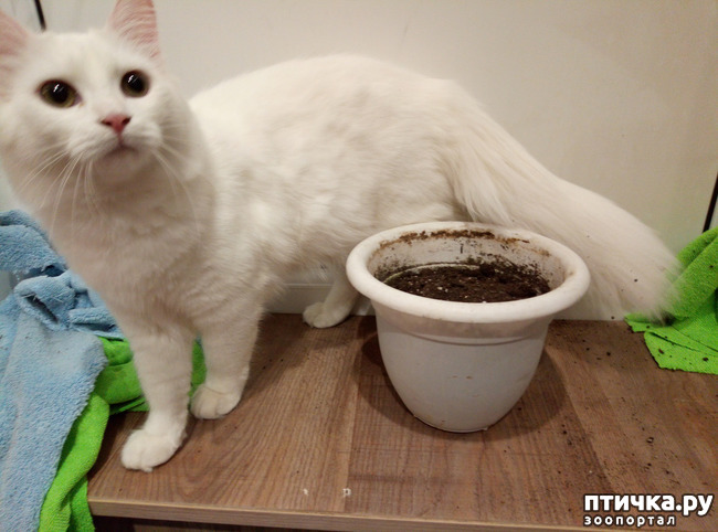 ���� 1: ����� ���� ������ ���� ������� ��������