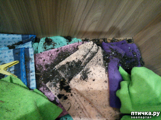 ���� 2: ����� ���� ������ ���� ������� ��������