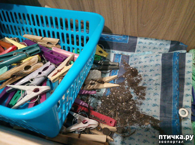 ���� 3: ����� ���� ������ ���� ������� ��������