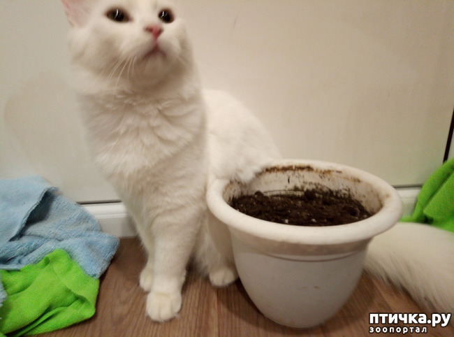 ���� 5: ����� ���� ������ ���� ������� ��������