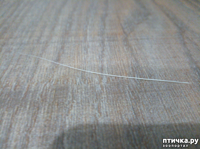 ���� 6: ����� ���� ������ ���� ������� ��������