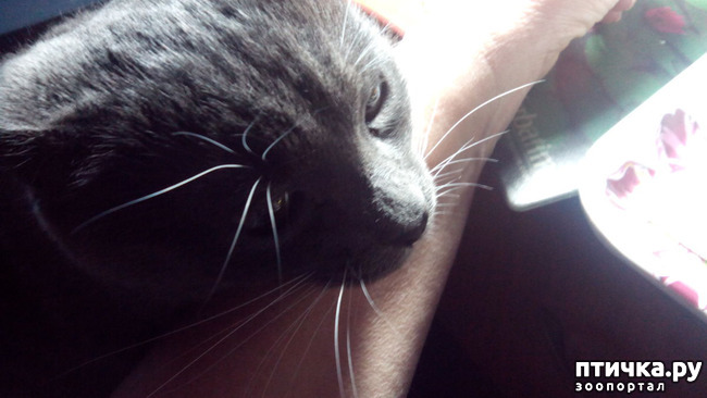 ���� 7: ����� ���� ������ ���� ������� ��������