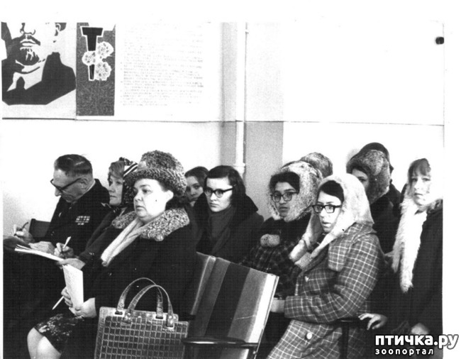 ���� 2: ��� � ������� ���������� ���� ��������� ����� (����� 2)