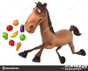 фотография: ЗАПИСКИ СТАРОГО ЭКСПЕРТА-2 (ПО ВОЛНАМ МОЕЙ ПАМЯТИ) фото: ЗАПИСКИ СТАРОГО ЭКСПЕРТА-2 (ПО ВОЛНАМ МОЕЙ ПАМЯТИ)