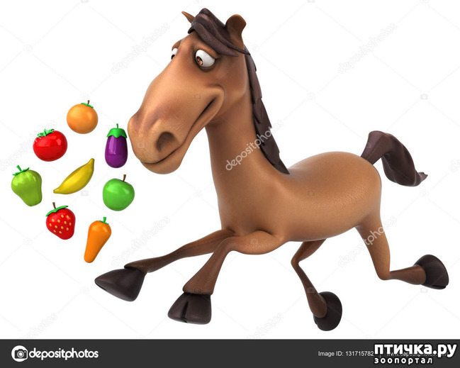 ���� 1: ������� ������� ��������-2 (�� ������ ���� ������)