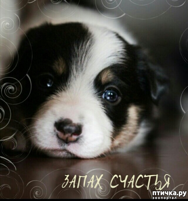 ���� 1: ����� �������