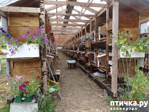 фотография: Деревенское бытие - заметки живореза, 21+ фото: Деревенское бытие - заметки живореза, 21+