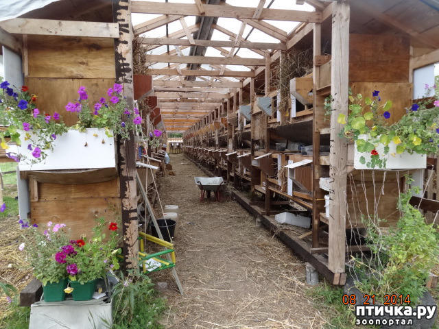 ���� 1: ����������� ����� - ������� ��������, 21+