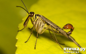 фотография: Животные и подарки фото: Животные и подарки