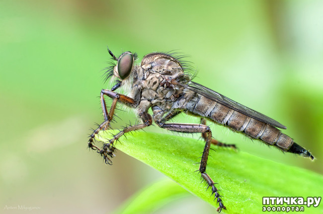 ���� 2: �������� � �������