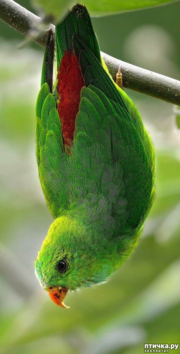 ���� 5: �������� � �������