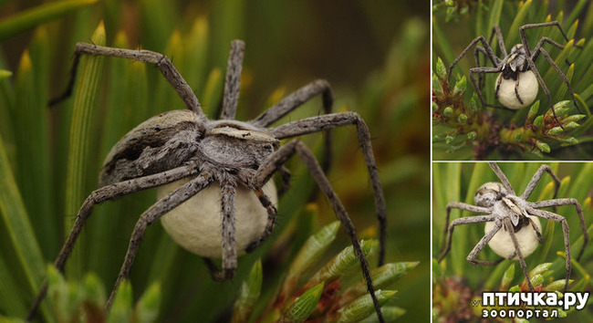 ���� 3: �������� � �������