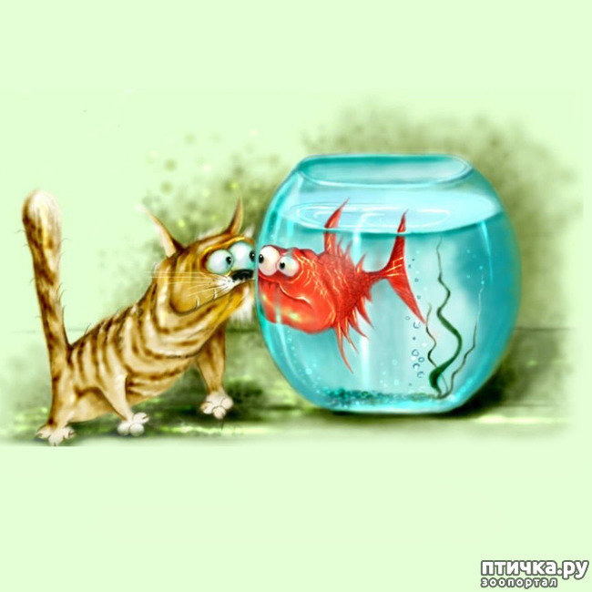 ���� 4: ��� �������, �� �� �������, � �����������.