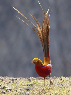 ���� 1: ��������� � ������. ������� 