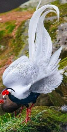 ���� 2: ��������� � ������. ������� 