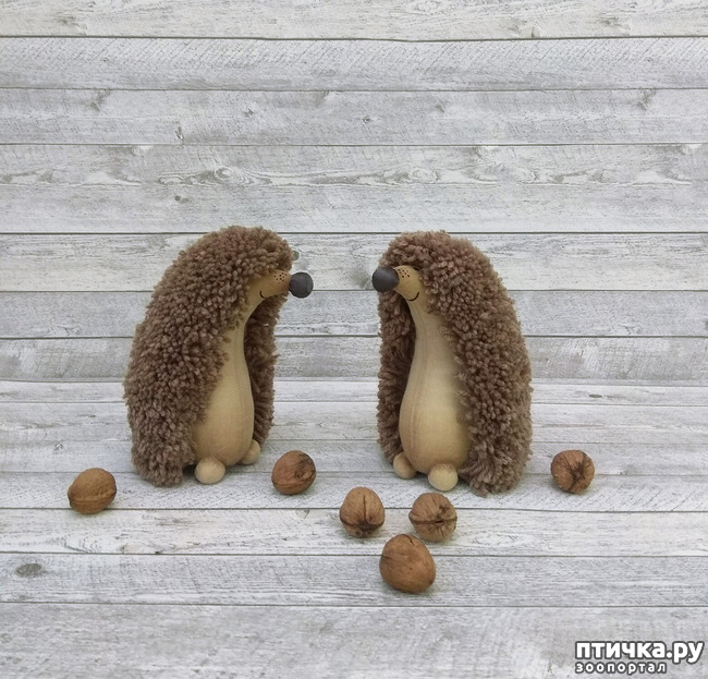 ���� 6: ��� �������, �� �� �������, � �����������.