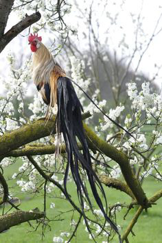 ���� 3: ��������� � ������. ������� 