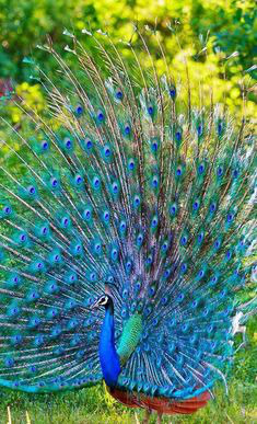 ���� 4: ��������� � ������. ������� 