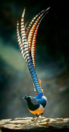 ���� 7: ��������� � ������. ������� 