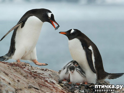 ���� 7: �������� � �������