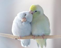 ���� 13: ��������� � ������. ������� 