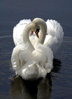 ���� 15: ��������� � ������. ������� 