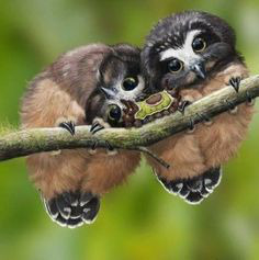 ���� 18: ��������� � ������. ������� 