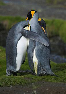 ���� 20: ��������� � ������. ������� 