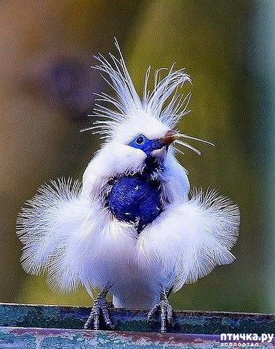 ���� 21: ��������� � ������. ������� 