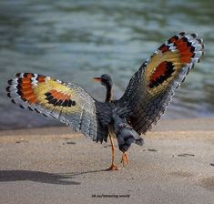 ���� 24: ��������� � ������. ������� 