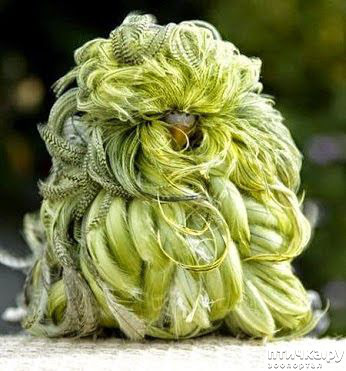 ���� 28: ��������� � ������. ������� 