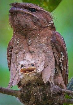 ���� 30: ��������� � ������. ������� 