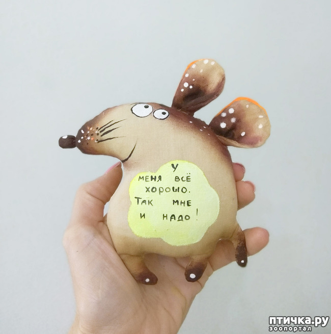 ���� 13: ��� �������, �� �� �������, � �����������.