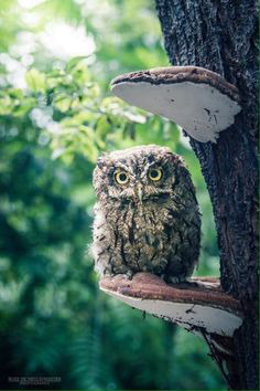 ���� 35: ��������� � ������. ������� 