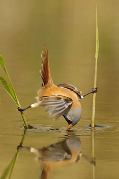 ���� 37: ��������� � ������. ������� 